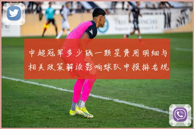 中超冠军多少钱一颗星费用明细与相关政策解读影响球队申报排名规则