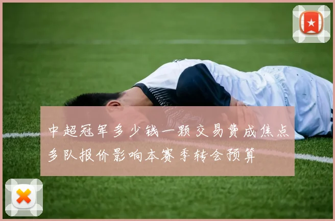 中超冠军多少钱一颗交易费成焦点多队报价影响本赛季转会预算
