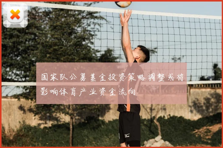 国家队公募基金投资策略调整或将影响体育产业资金流向